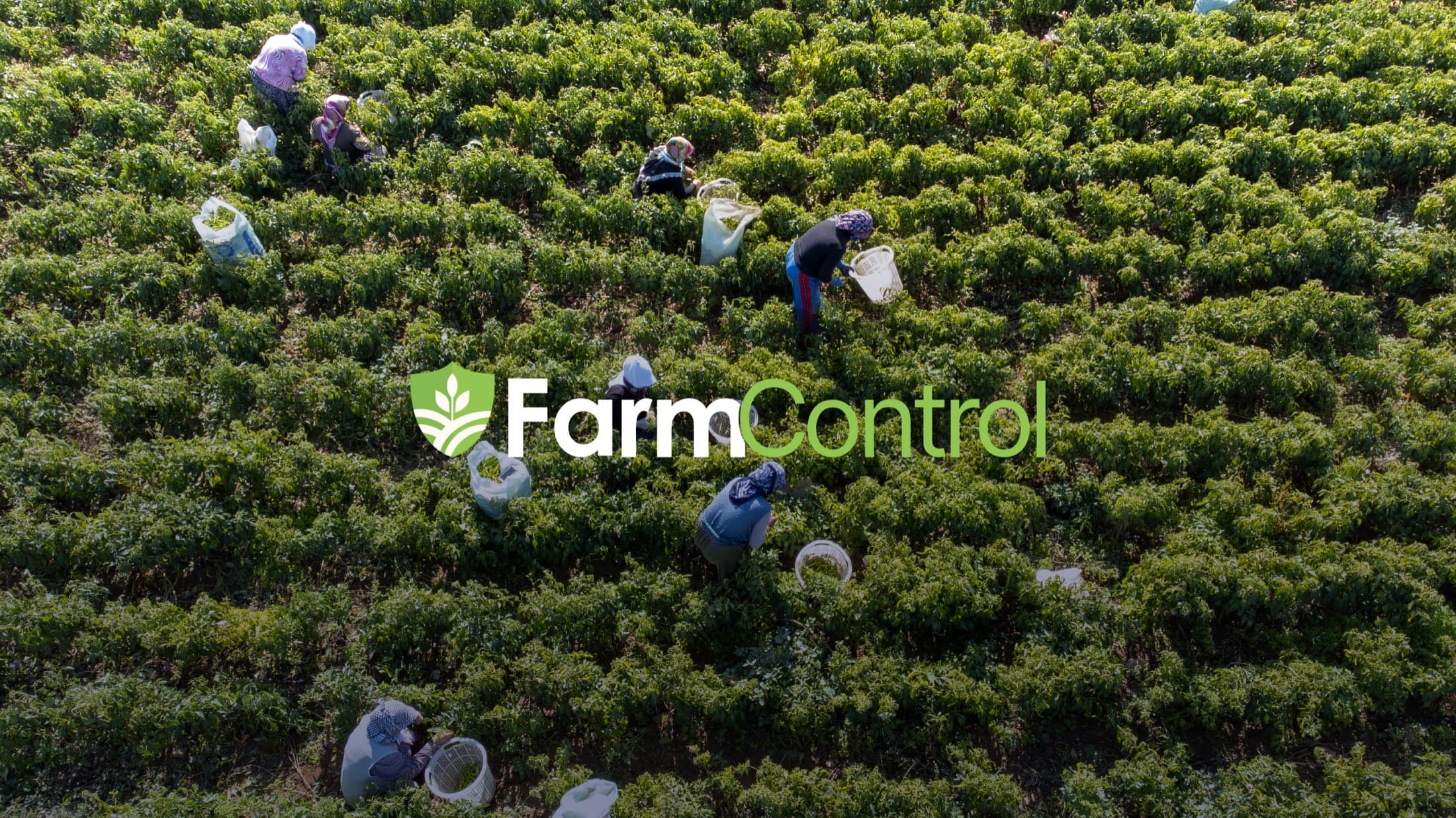 Vista aérea de una cuadrilla cosechando entre hileras, con el logo de FarmControl