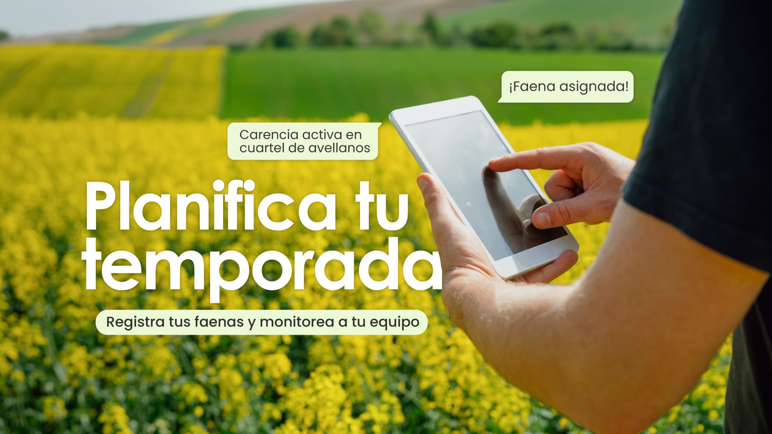 Productor planificando su temporada desde una tablet en el campo: carencia activa en cuartel de avellanos y faena asignada
